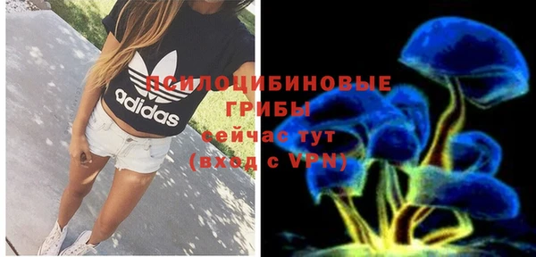 винт Заводоуковск